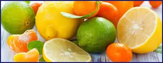 Citrus pectin dietary fibre