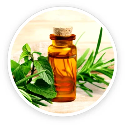 Tea Tree Oil